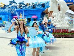 -石家庄极地海洋世界