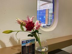 -法兰度航空主题餐厅(河源店)