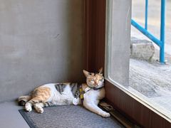 -Again Coffee Roaster(香蜜湖店)