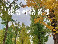 -两江幸福广场
