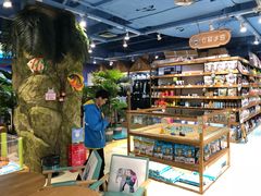 -龟与熊猫宠物公园(南坪店)