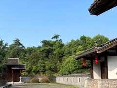 -大唐贡茶院