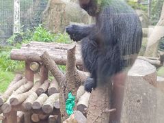 -上海动物园(地铁站)