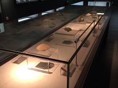 -广西壮族自治区博物馆