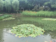 -天目湖山水园