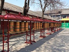 -护国法轮寺