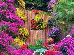 -杭州植物园
