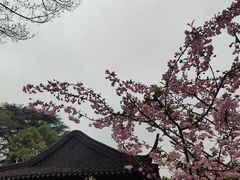 -拙政园