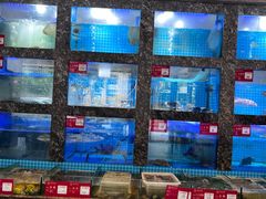 -潮州府·潮菜·砂锅粥(徐家汇店)