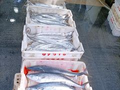 -芦潮港集贸市场