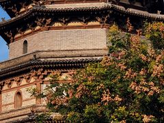 -天宁寺