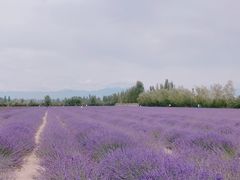 -中华福寿山