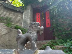 -老张烤羊(王哥庄店)