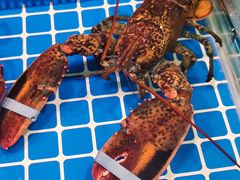 -巽寮印象美食部落餐厅·海鲜·地方特色菜(惠州体验店)