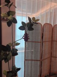 -花隐瑜伽·普拉提·红绳
