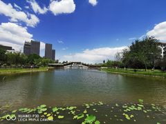 -西海子公园