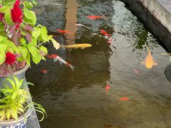 -燕北云山·农家菜·灶台鱼(密云溪翁庄店)