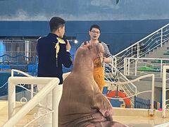 -泉城欧乐堡海洋极地世界