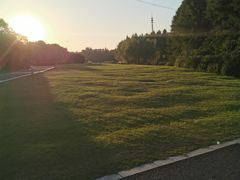 -九里河湿地公园