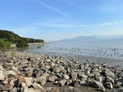 -深圳湾公园(南山区)