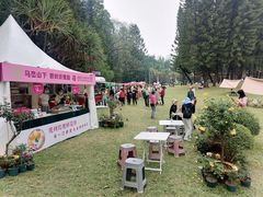 -人民公园(罗湖区)