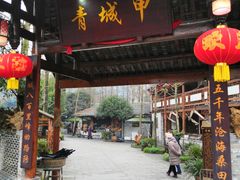 -青城甲(青城山店)