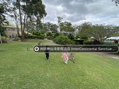 -绿茶餐厅