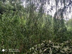 -西安市长乐公园