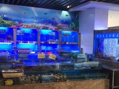 水产区-海鲨湾海鲜会馆(百家湖1912店)