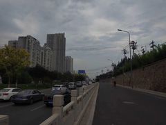 -东郊湿地公园