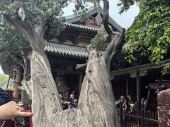-晋祠博物馆
