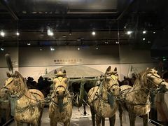 -秦始皇帝陵博物院-丽山园