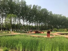 -东郊湿地公园