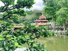 -深圳仙湖植物园
