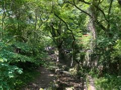 -天台山景区
