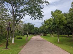 -盘龙城国家考古遗址公园