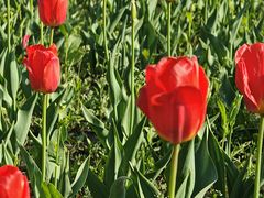 -长春公园(普阳街道)