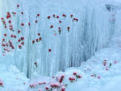 -洛阳白云山景区