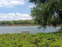 -紫马岭公园
