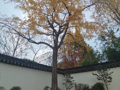 -枫桥景区