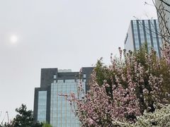 -团结湖公园