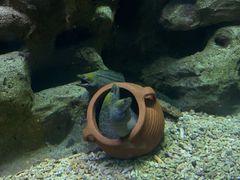 -蓬莱欧乐堡海洋极地世界