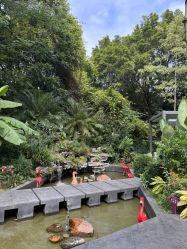-宝生月子中心(独栋园林·福田店)
