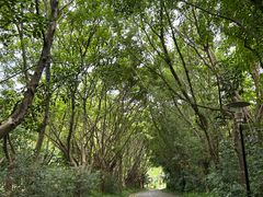 -深圳国际园林花卉博览园