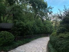 -竹子庵公园