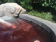 -麦积山温泉