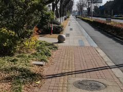 -嘉北郊野公园