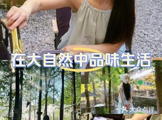 打卡城市里26℃最浪漫的小森林 好吃又好看