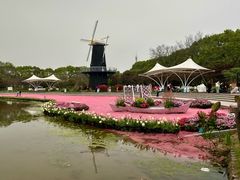 -上海鲜花港