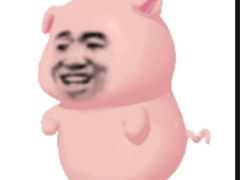 -东方动物医院·宠保定点·骨科·转诊中心(春城路·昆明站分院)